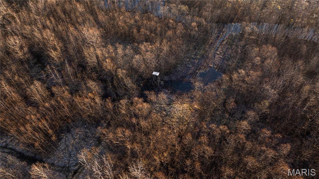 10000 Rieder Road Lebanon, IL 62254 - Photo 21 of 63