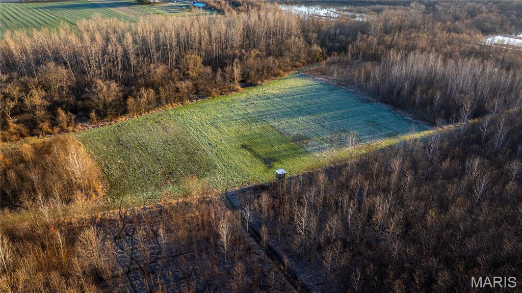 10000 Rieder Road Lebanon, IL 62254 - Photo 22 of 63