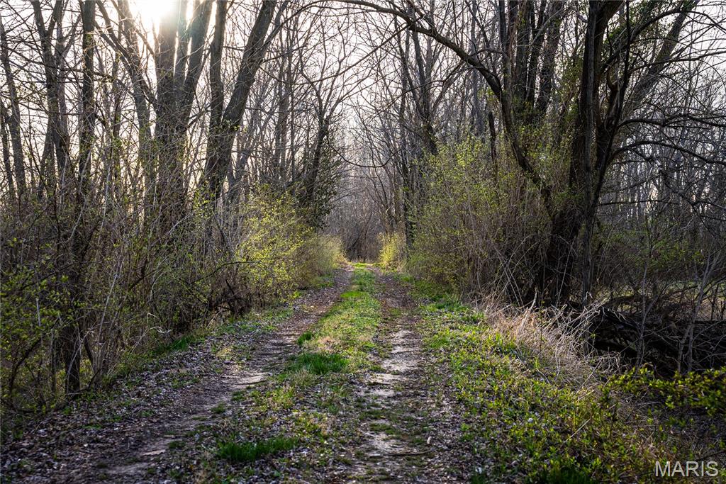 10000 Rieder Road Lebanon, IL 62254 - Photo 23 of 63