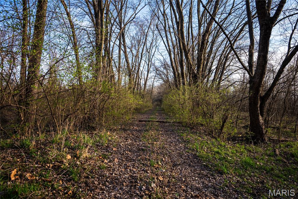 10000 Rieder Road Lebanon, IL 62254 - Photo 24 of 63