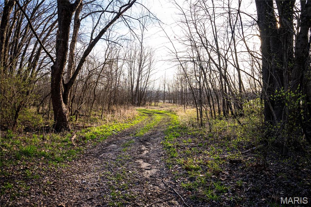 10000 Rieder Road Lebanon, IL 62254 - Photo 25 of 63