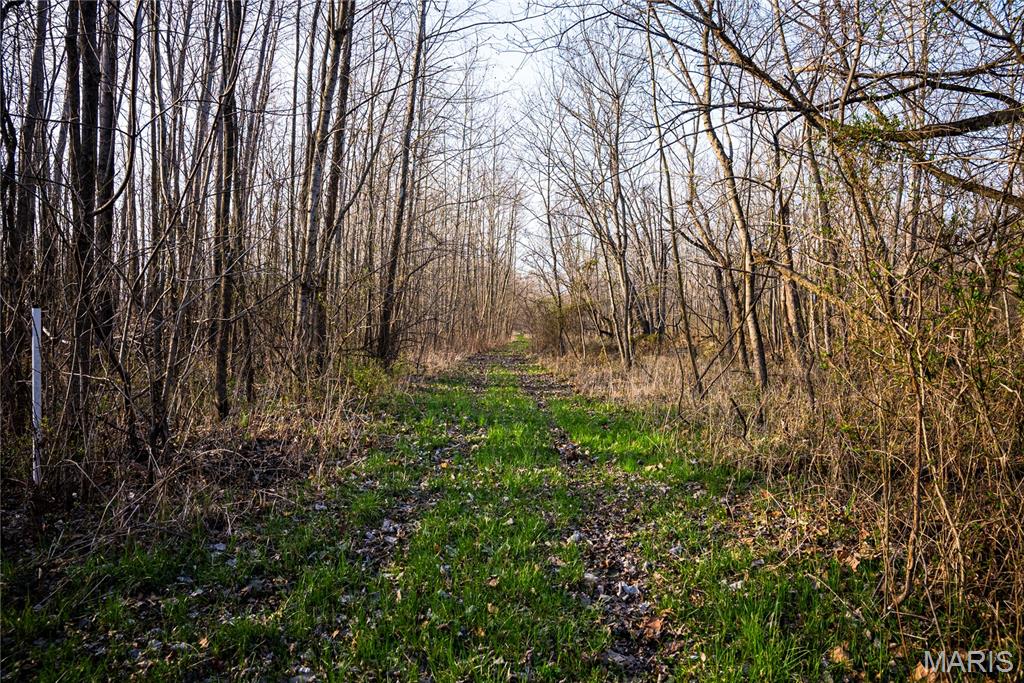 10000 Rieder Road Lebanon, IL 62254 - Photo 26 of 63