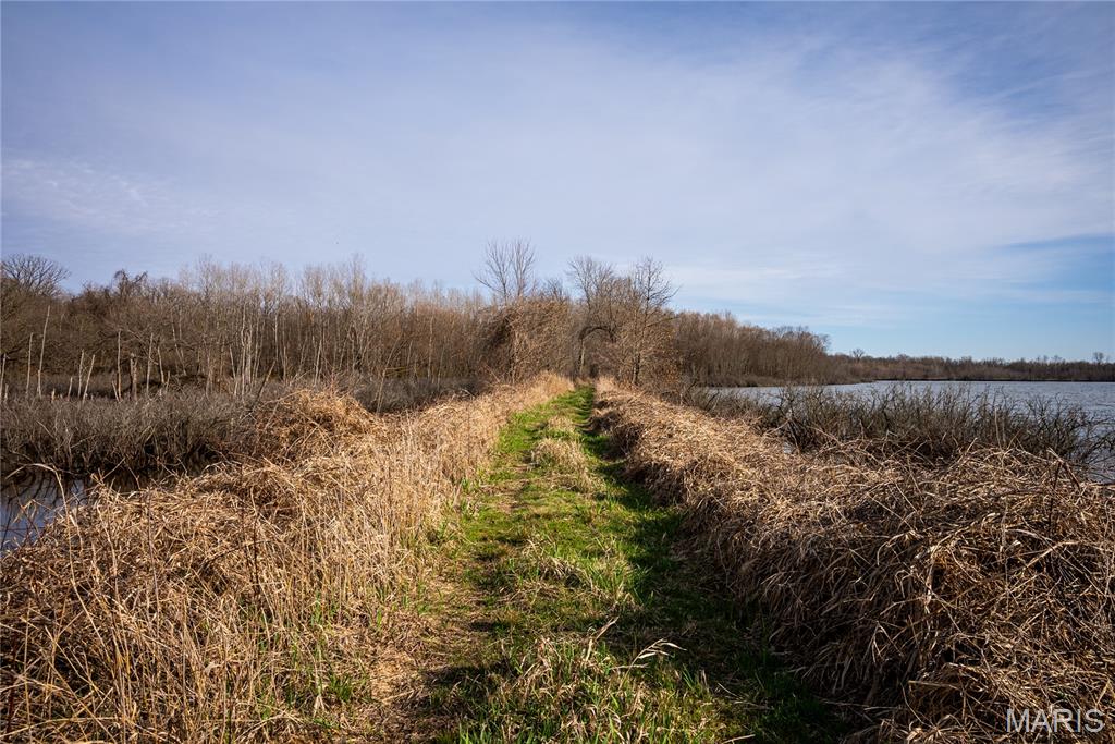 10000 Rieder Road Lebanon, IL 62254 - Photo 27 of 63