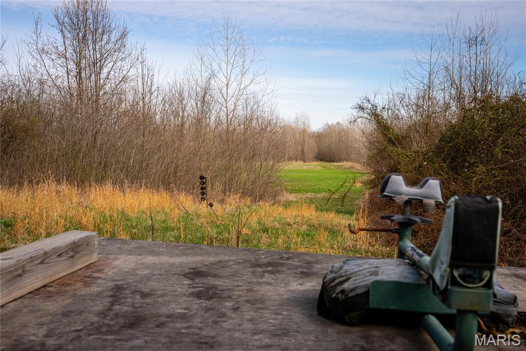 10000 Rieder Road Lebanon, IL 62254 - Photo 29 of 63