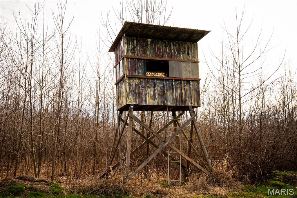 10000 Rieder Road Lebanon, IL 62254 - Photo 30 of 63