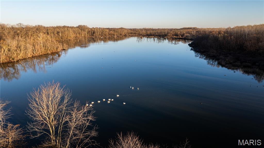 10000 Rieder Road Lebanon, IL 62254 - Photo 3 of 63