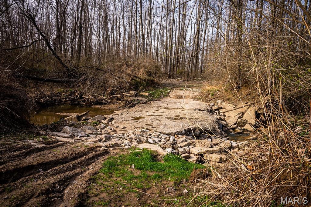 10000 Rieder Road Lebanon, IL 62254 - Photo 31 of 63