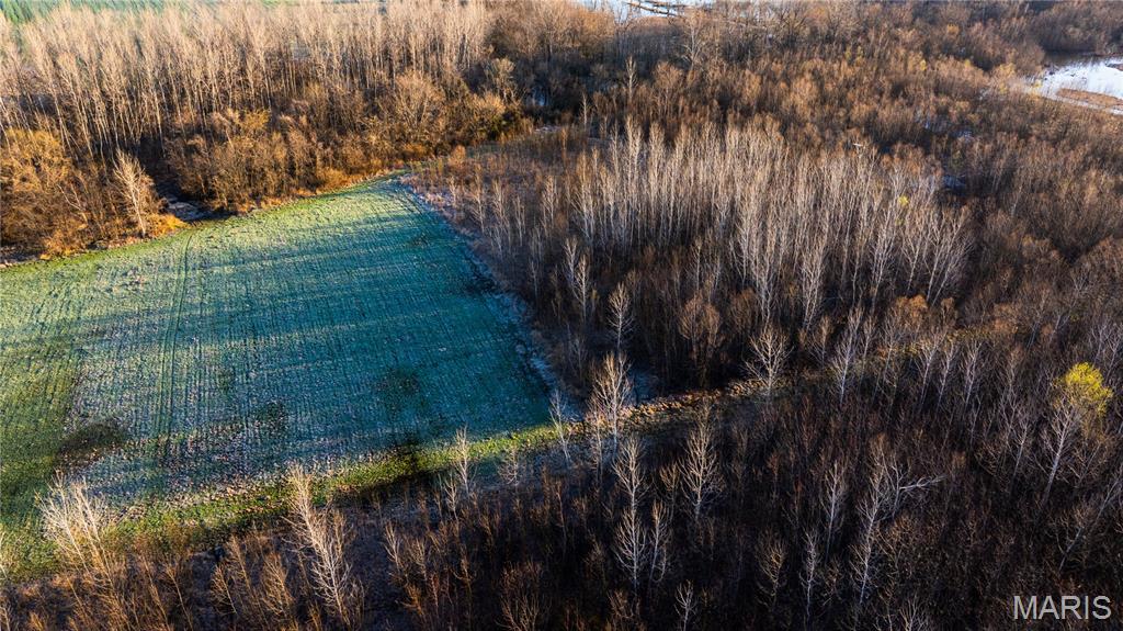 10000 Rieder Road Lebanon, IL 62254 - Photo 32 of 63