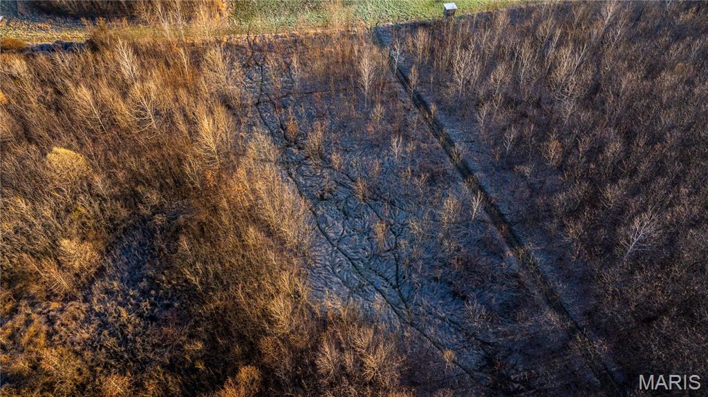 10000 Rieder Road Lebanon, IL 62254 - Photo 33 of 63