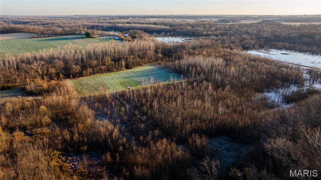 10000 Rieder Road Lebanon, IL 62254 - Photo 34 of 63