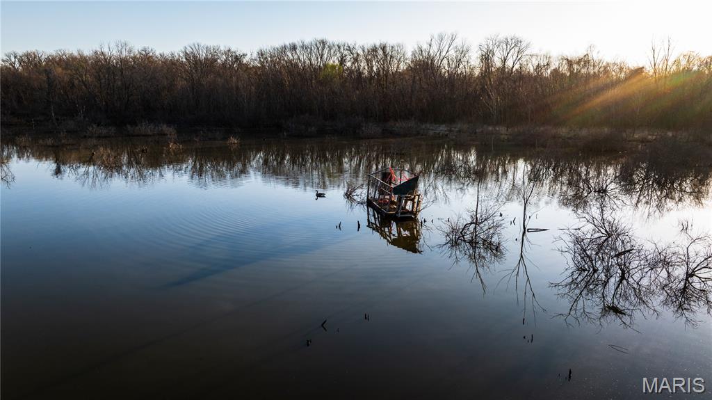 10000 Rieder Road Lebanon, IL 62254 - Photo 4 of 63