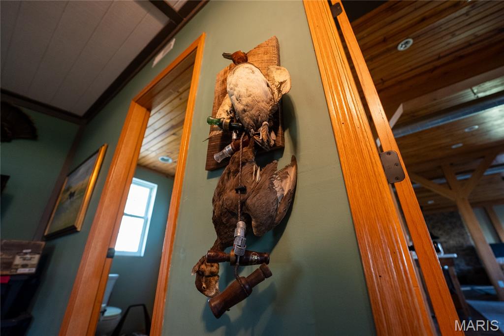 10000 Rieder Road Lebanon, IL 62254 - Photo 48 of 63