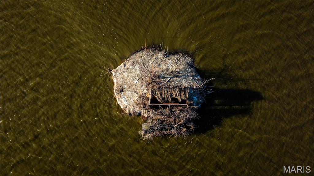 10000 Rieder Road Lebanon, IL 62254 - Photo 5 of 63