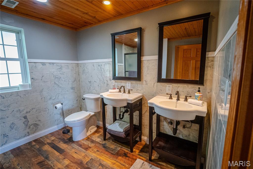 10000 Rieder Road Lebanon, IL 62254 - Photo 60 of 63