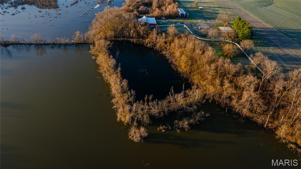 10000 Rieder Road Lebanon, IL 62254 - Photo 6 of 63