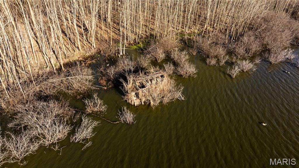 10000 Rieder Road Lebanon, IL 62254 - Photo 7 of 63