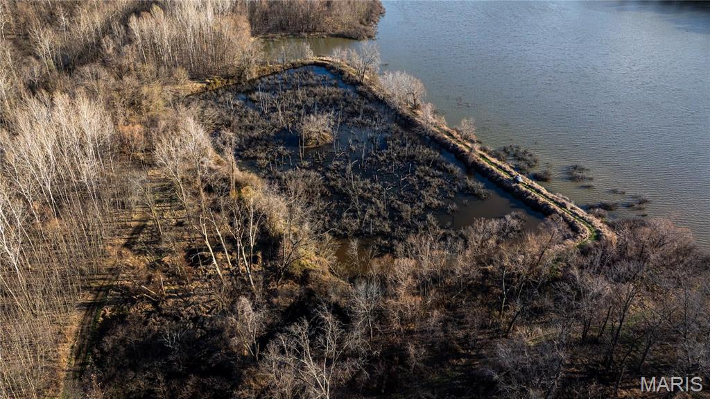 10000 Rieder Road Lebanon, IL 62254 - Photo 8 of 63