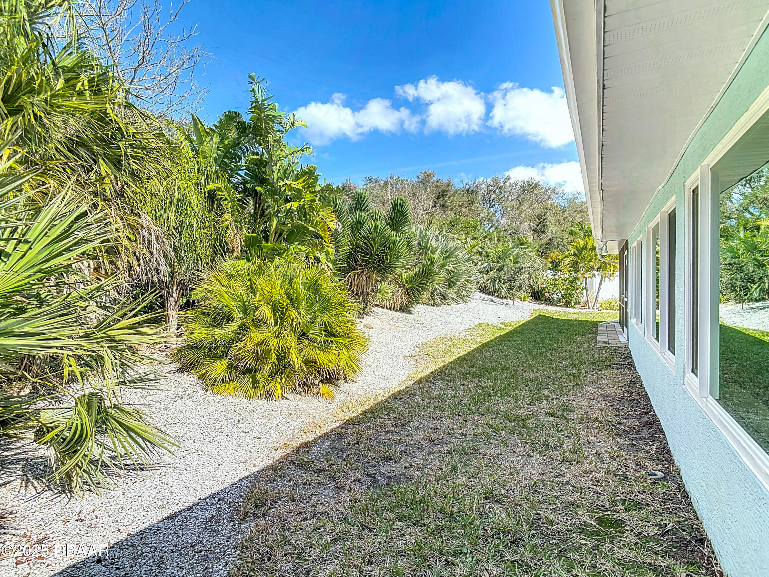 86 Rains Court Ponce Inlet, FL 32127 - Photo 56 of 71 a view of a garden with plants