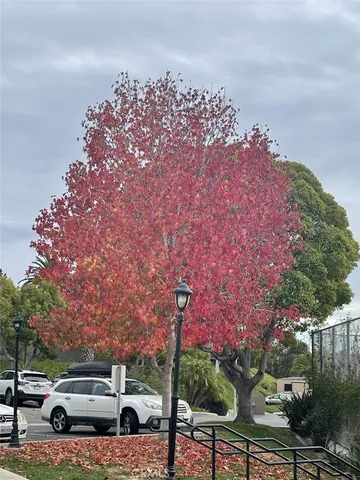 $2,975 | 506 Canyon Drive, Unit 29, Oceanside, CA 92054