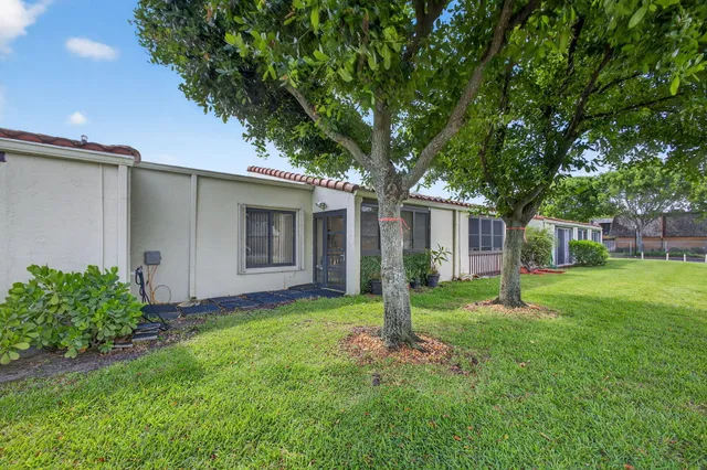 a backyard of a house with plants and large tree