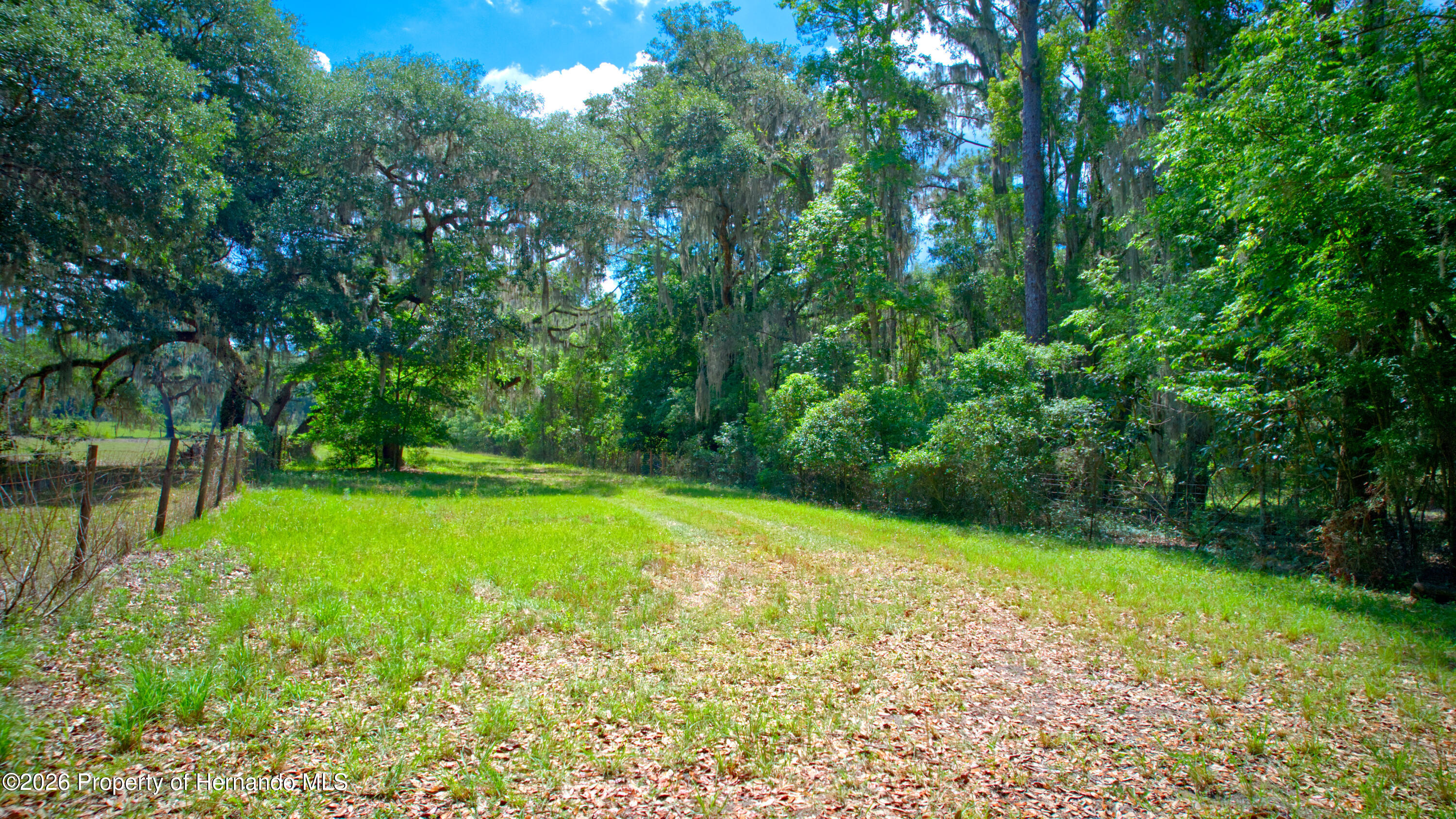 3267 Neff Lk Road Brooksville, FL 34602 - Photo 17 of 82