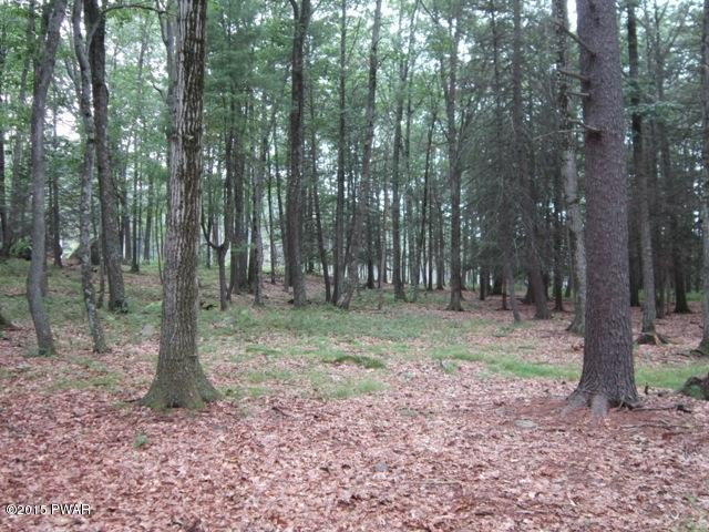 225 Maines Road Hawley, PA 18428 - Photo 40 of 41
