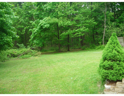608 Springs Road Bedford, MA 01730 - Photo 3 of 12 Gallery Image 3