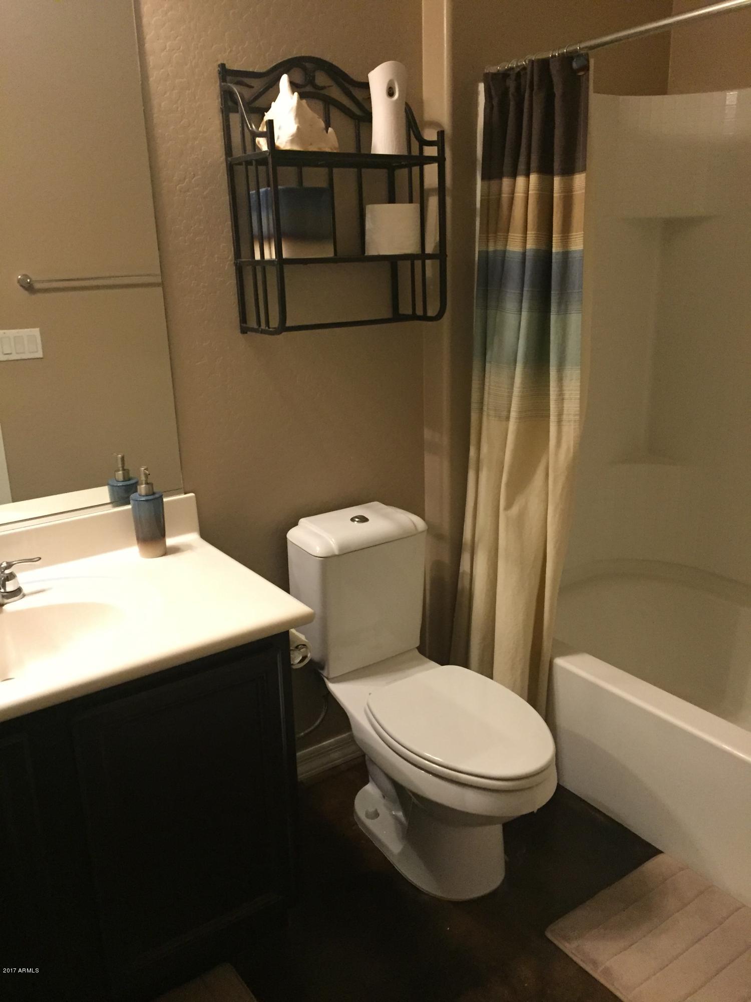 1731 South Rochester Drive Gilbert, AZ 85295 - Photo 20 of 23 Bath 3