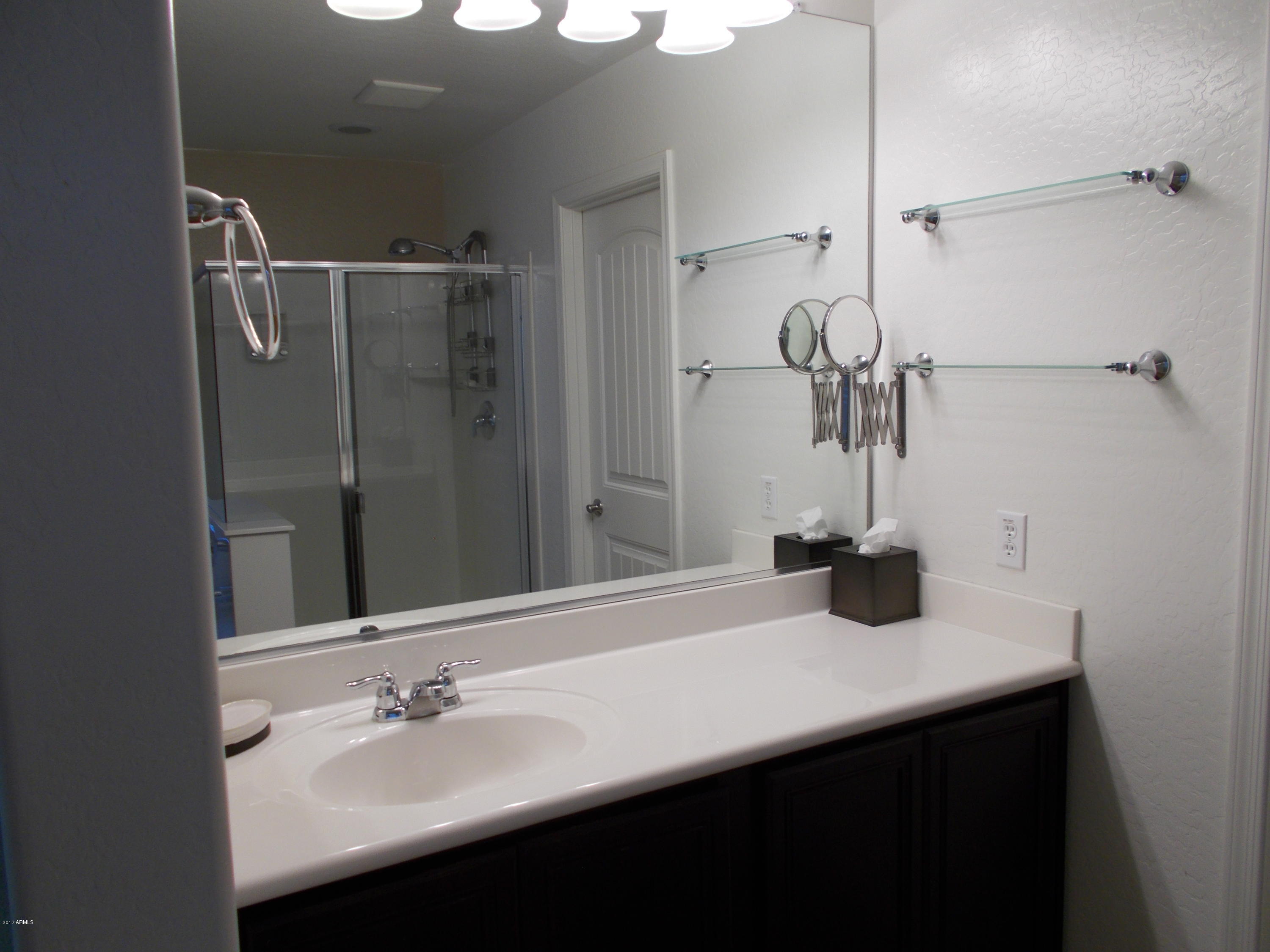 1731 South Rochester Drive Gilbert, AZ 85295 - Photo 10 of 23 Master Bathroom