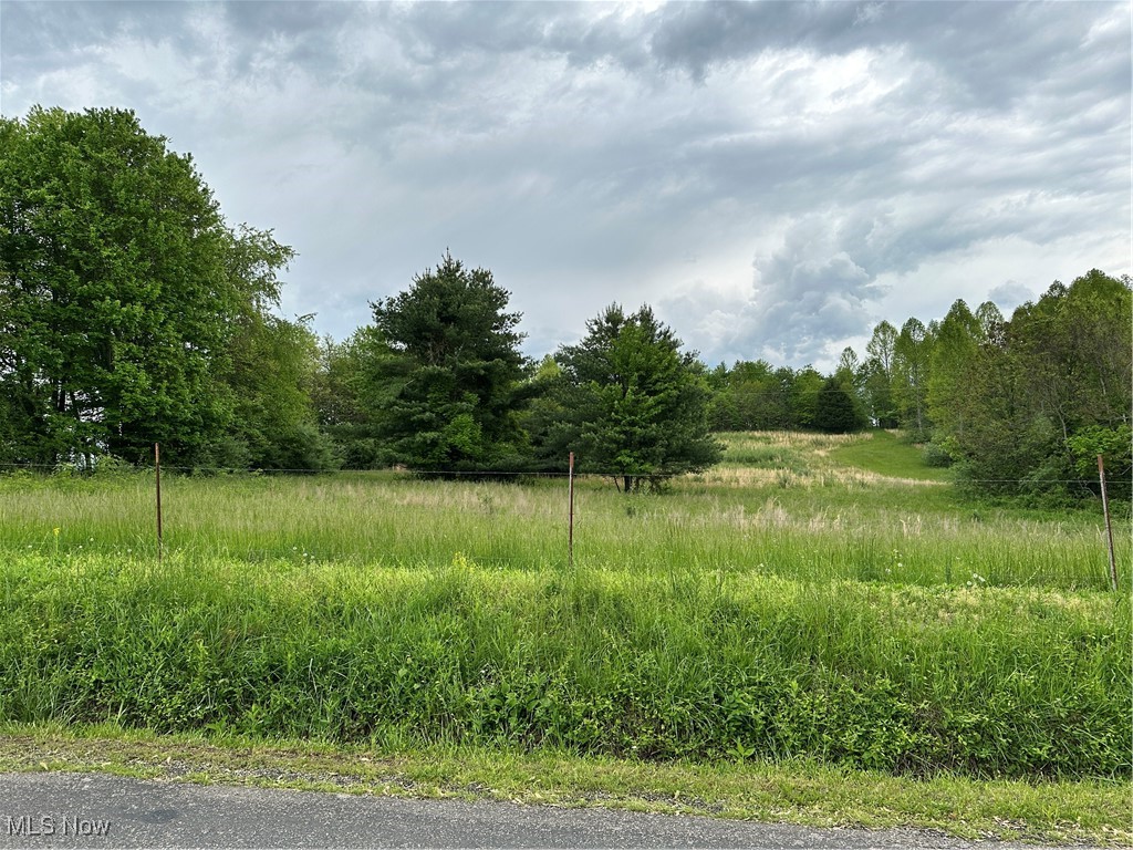 0 Layman Road Vincent, OH 45784 - Photo 1 of 28 View from the road