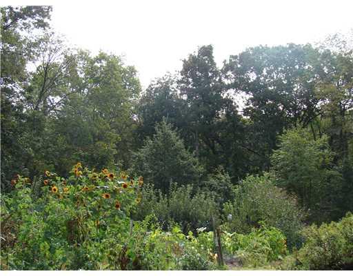 146 Bullcreek Road Butler, PA 16002 - Photo 18 of 18 Yard/Garden. Yard is filled with periennals, grape arbor and beautiful views!