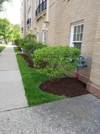 $1,900 | 802 Elmwood Avenue, Unit 3E, Evanston, IL 60202