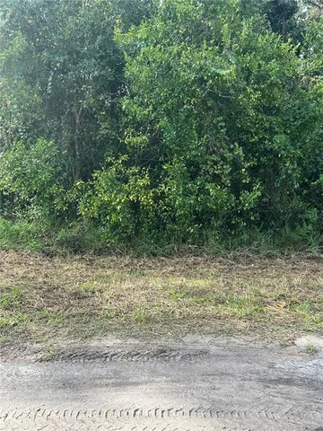 a view of a yard with a tree