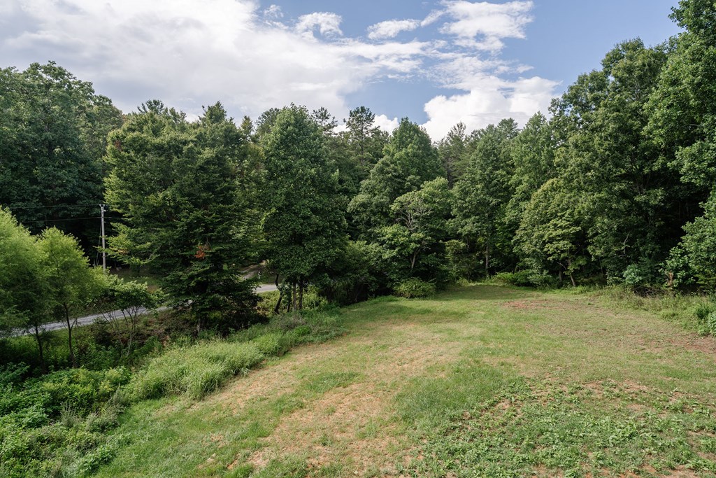 89 High Mdws Drive Morganton, GA 30560 - Photo 37 of 63