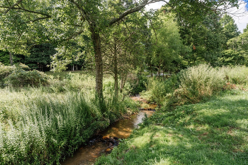 89 High Mdws Drive Morganton, GA 30560 - Photo 9 of 63