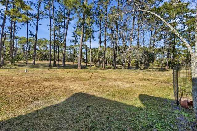 a backyard of apartments with large trees