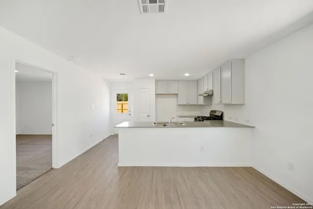 $1,450 | 3624 Axis Hl Street, New Braunfels, TX 78132