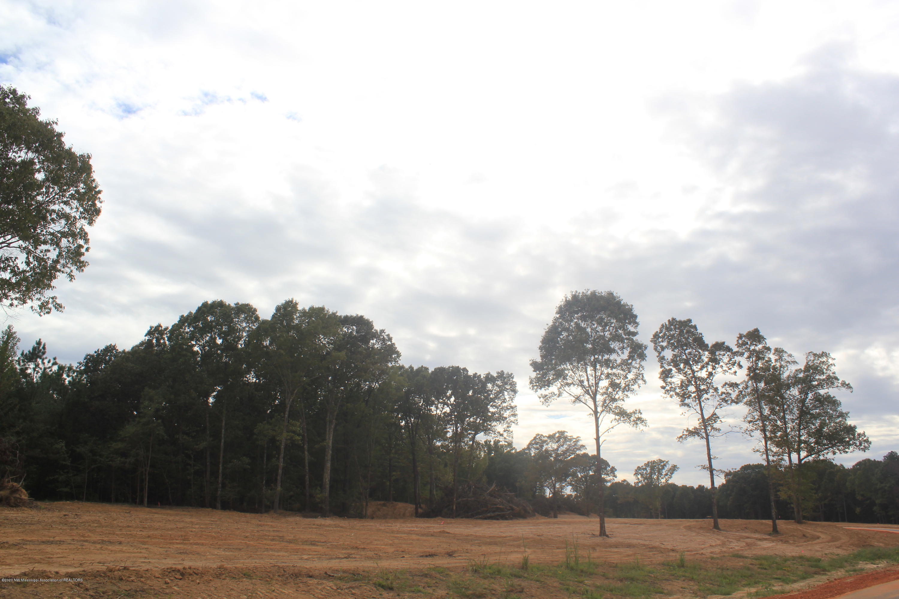 57 Hayward Road Byhalia, MS 38611 - Photo 16 of 28 IMG_4812