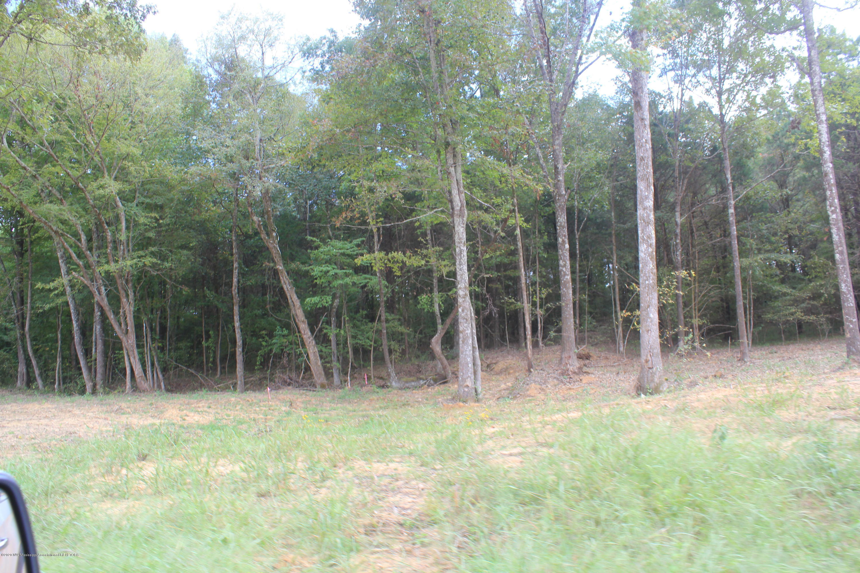 57 Hayward Road Byhalia, MS 38611 - Photo 2 of 28 IMG_4798