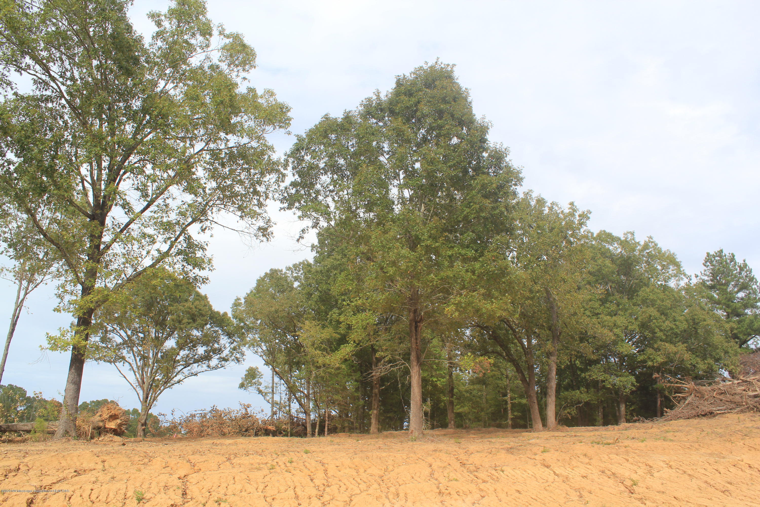 57 Hayward Road Byhalia, MS 38611 - Photo 22 of 28 IMG_4818