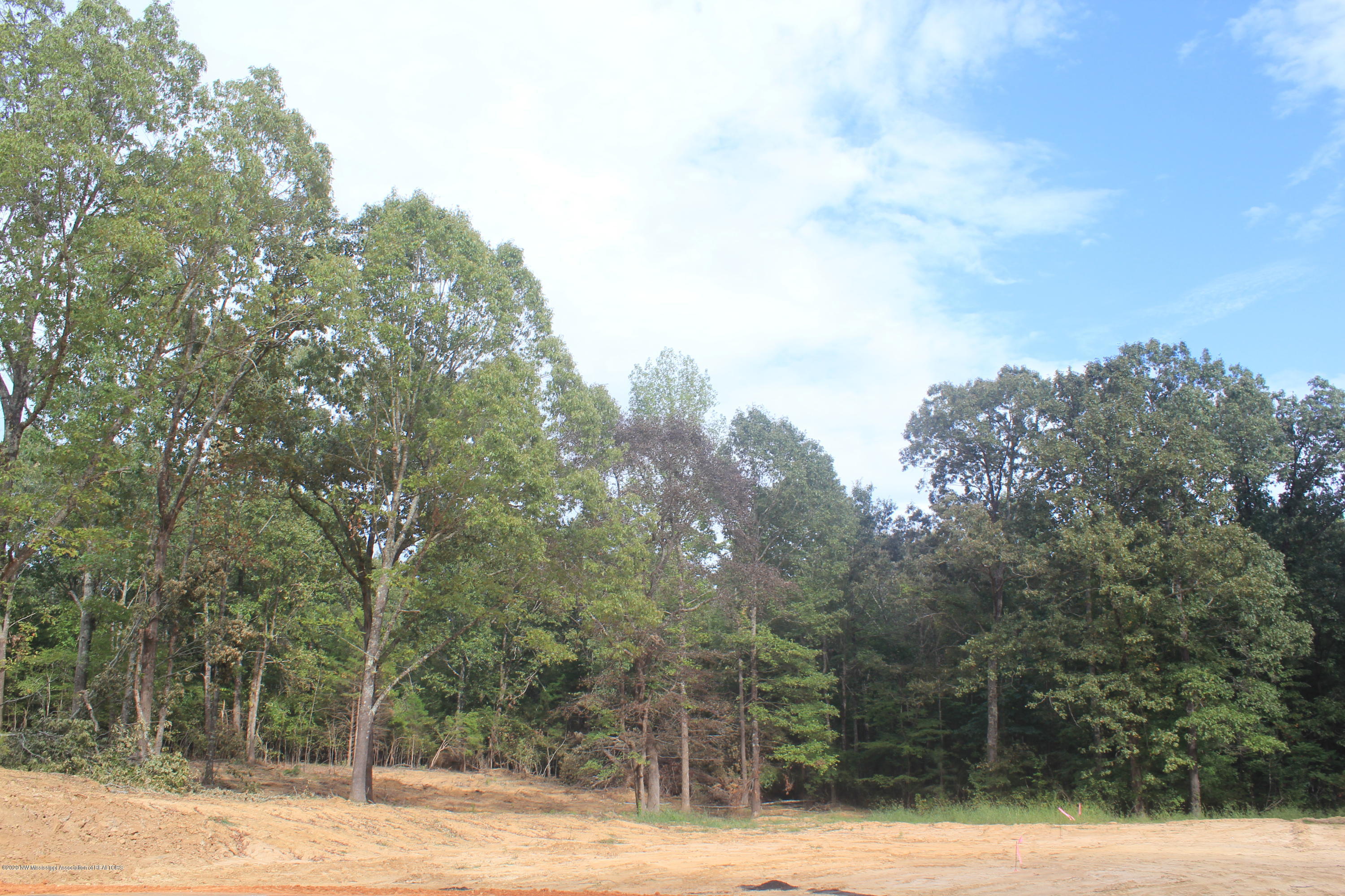 57 Hayward Road Byhalia, MS 38611 - Photo 23 of 28 IMG_4819