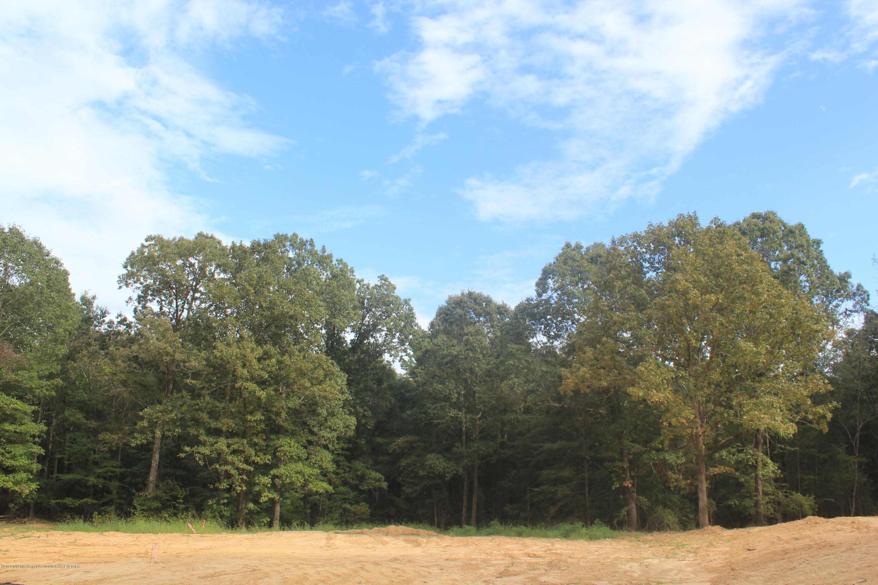57 Hayward Road Byhalia, MS 38611 - Photo 24 of 28 IMG_4820