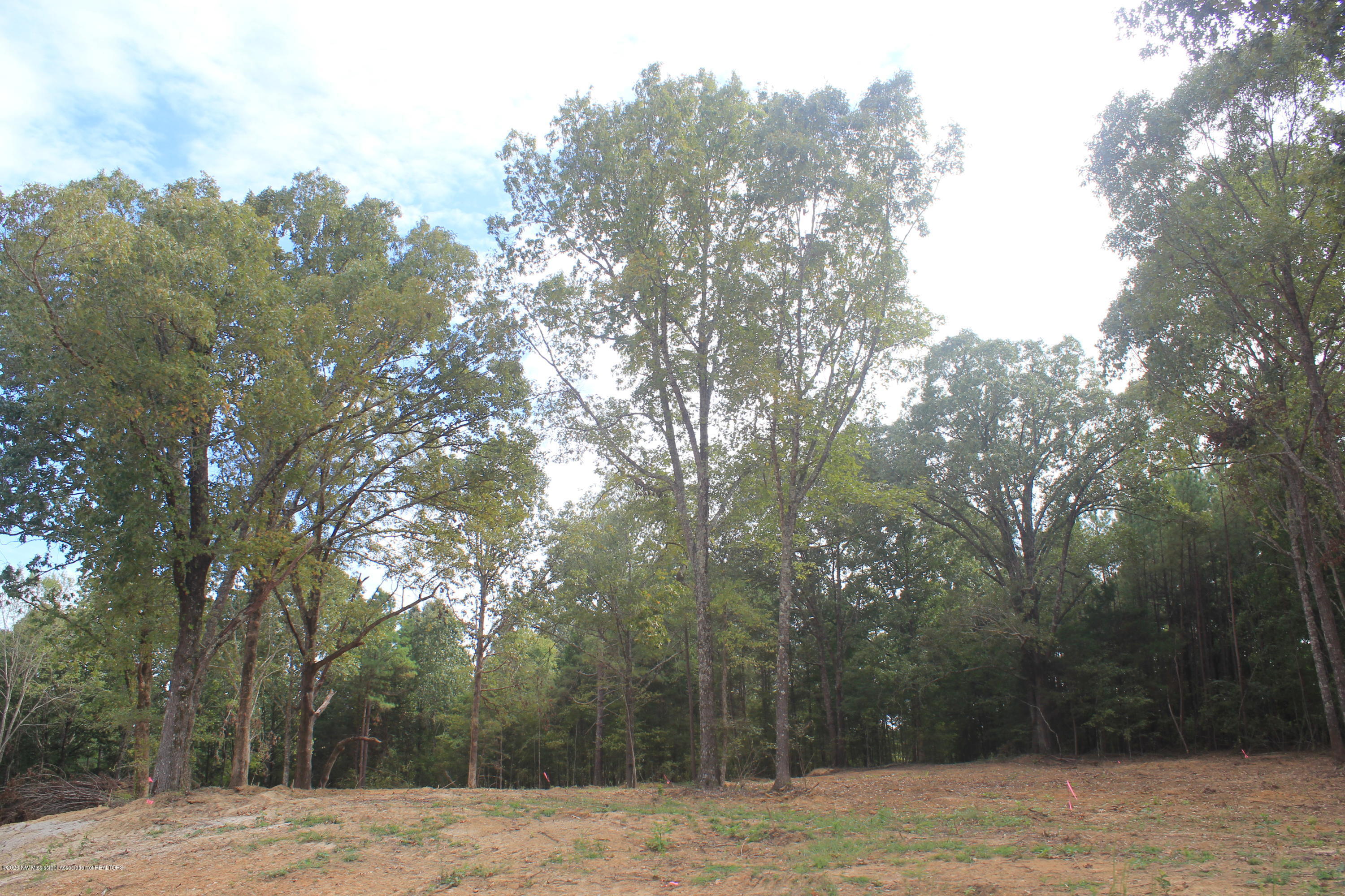 57 Hayward Road Byhalia, MS 38611 - Photo 27 of 28 IMG_4823