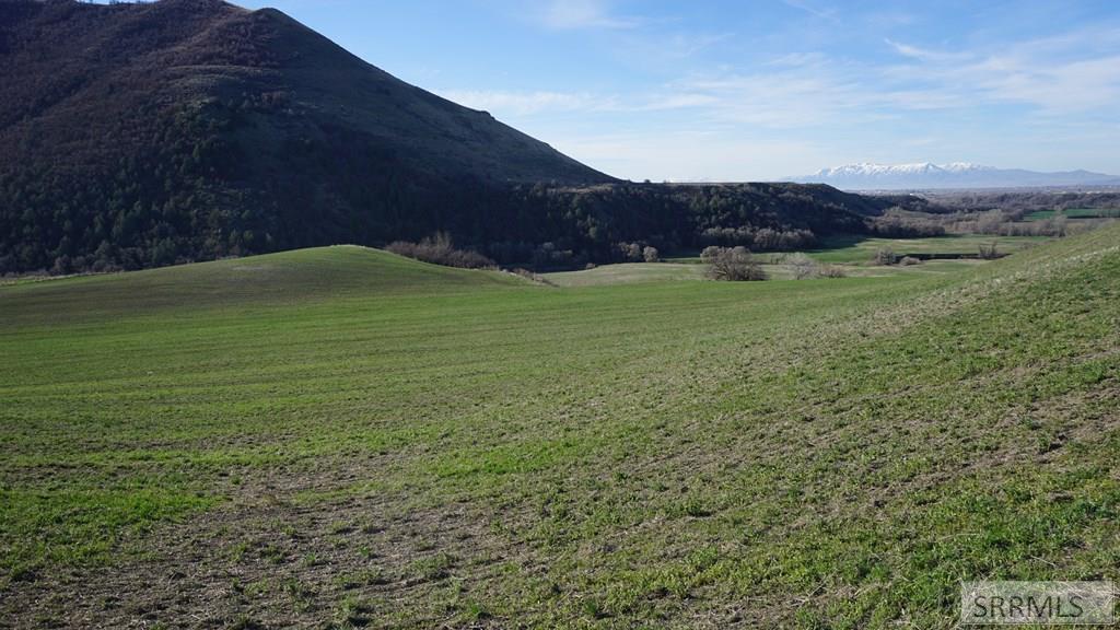 4200 East Cub River Road Preston, ID 83263 - Photo 4 of 23