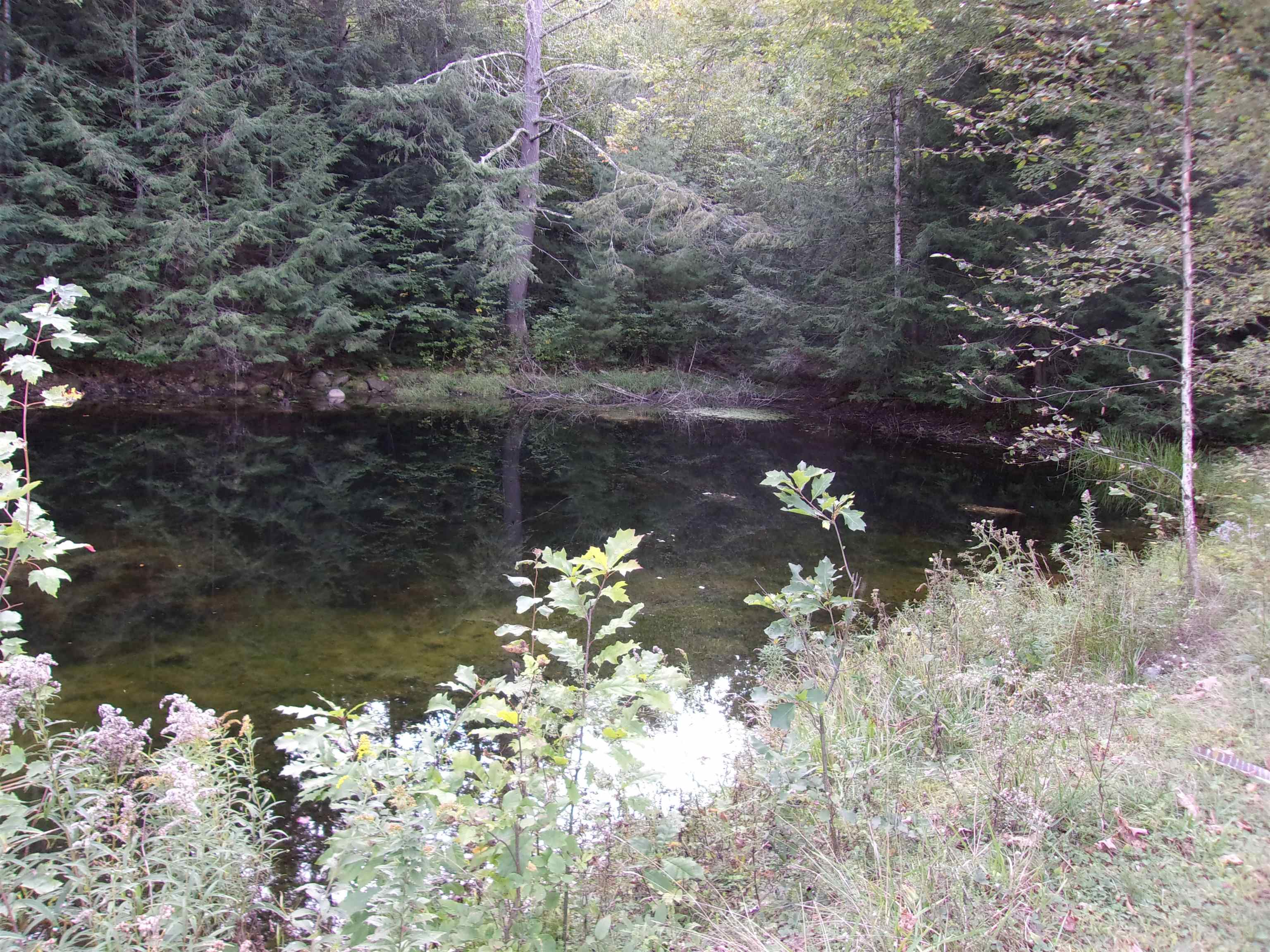 Fenn Way Circle, Unit 31 Bath, NH 03740 - Photo 14 of 19