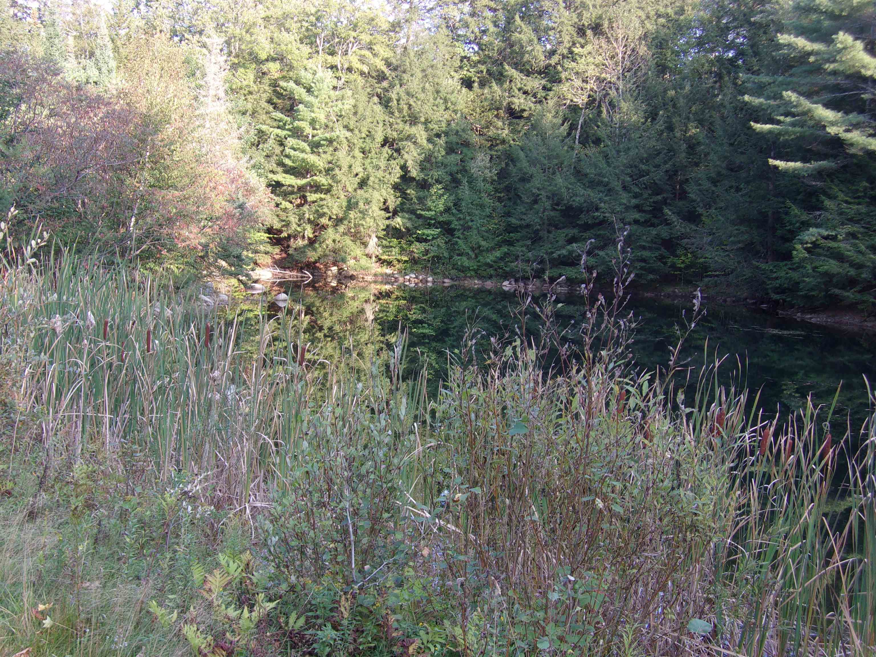 Fenn Way Circle, Unit 31 Bath, NH 03740 - Photo 15 of 19