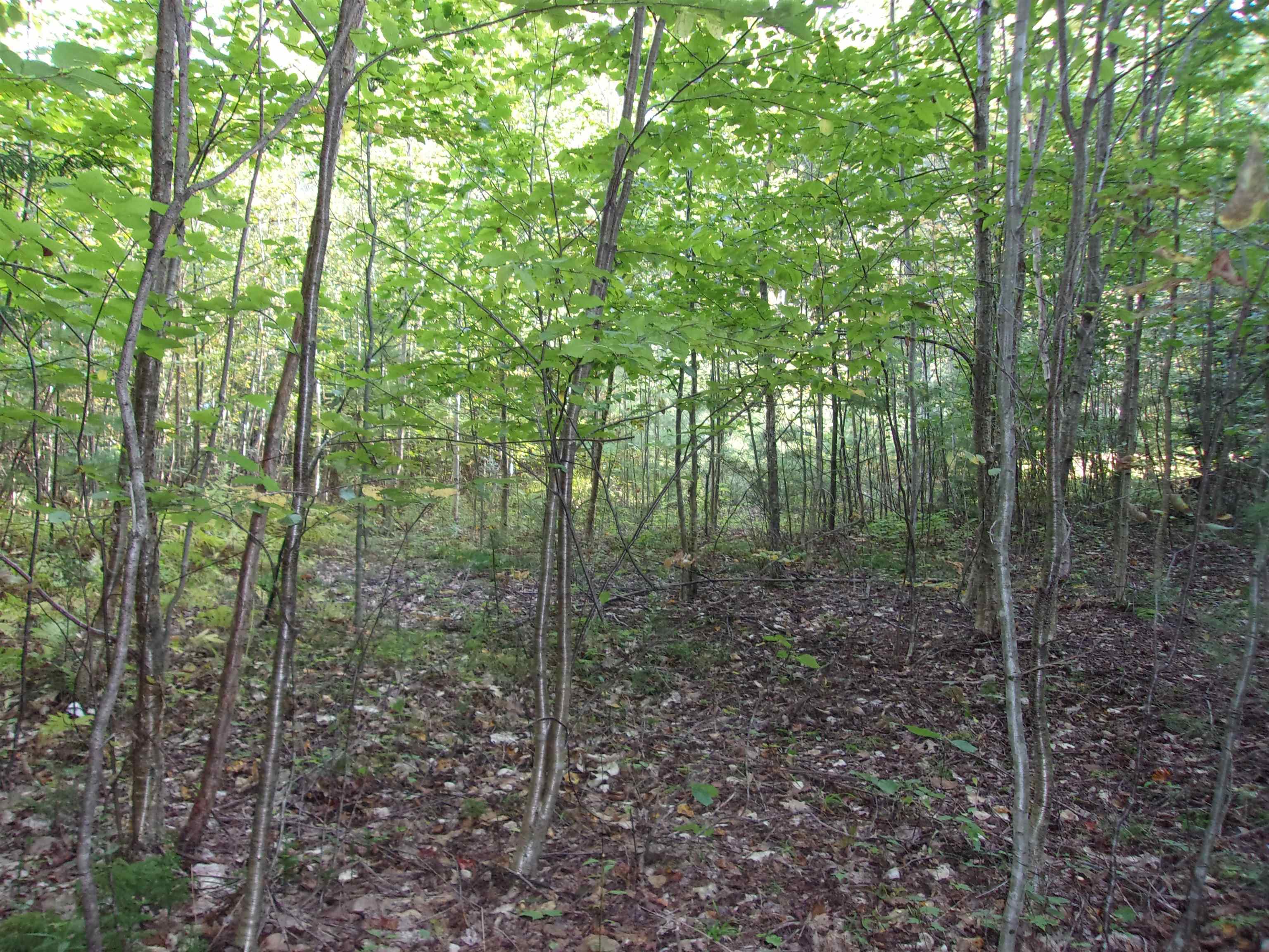 Fenn Way Circle, Unit 31 Bath, NH 03740 - Photo 2 of 19