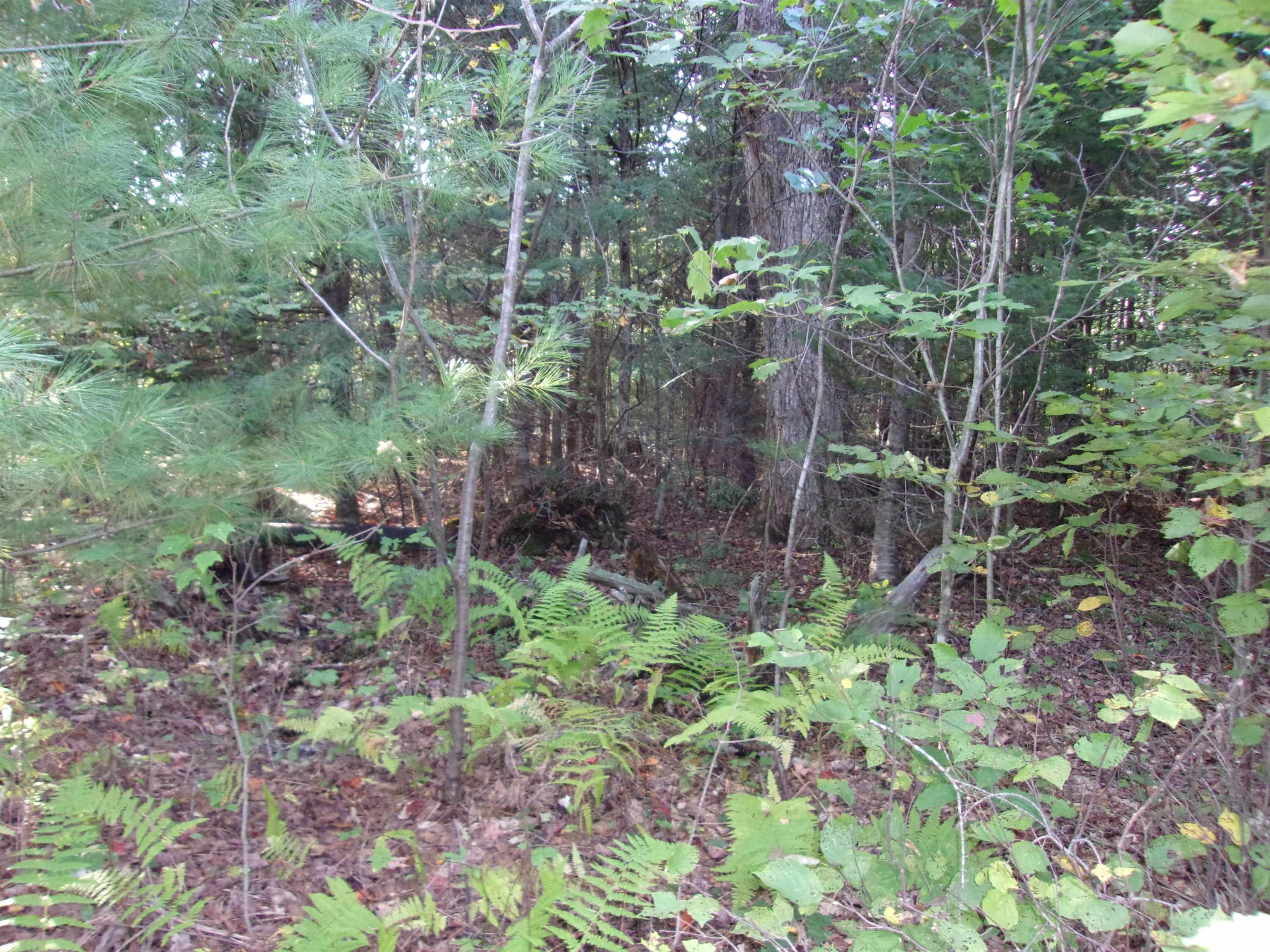 Fenn Way Circle, Unit 31 Bath, NH 03740 - Photo 3 of 19