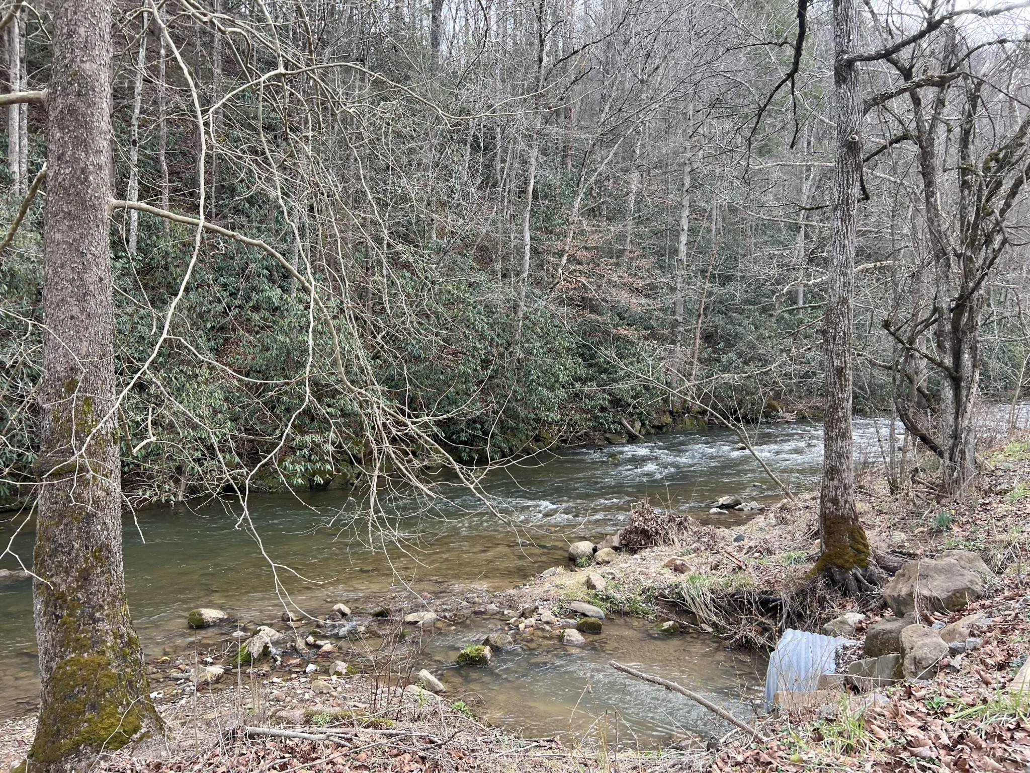 0 Old 15th Road Del Rio, TN 37727 - Photo 13 of 15 Gallery Image 13