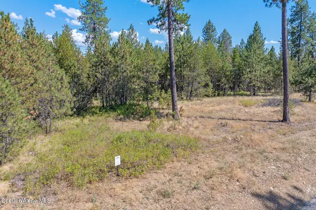 $345,000 | Lot 4 Dawson Loop, Athol, ID 83801